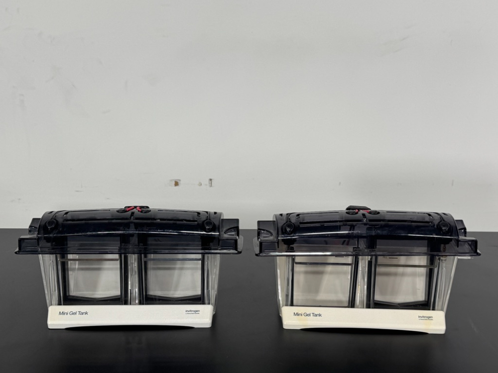 Image of Invitrogen Mini Gel Tanks - Quantity 2